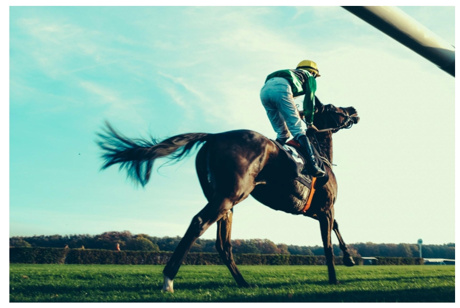 Wearable Technology in Horse Racing