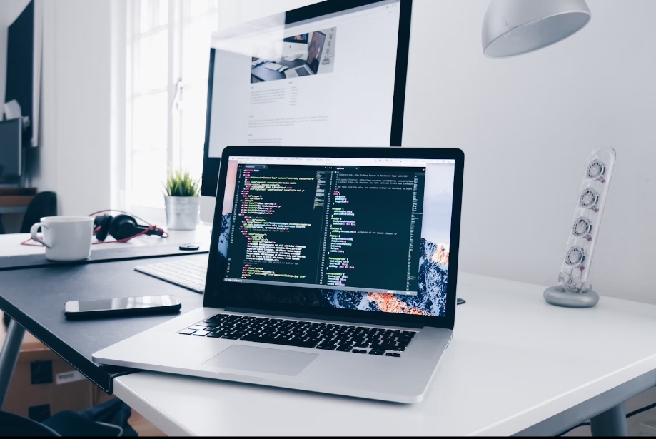 SANS CWE Top 25 and OWASP Top 10 Vulnerabilities