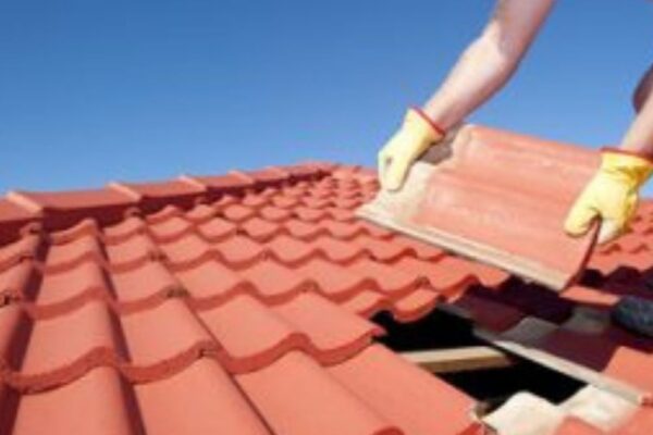 Professional Roofing Services