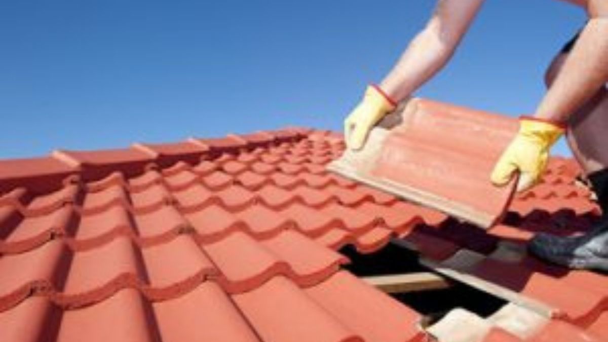 Professional Roofing Services