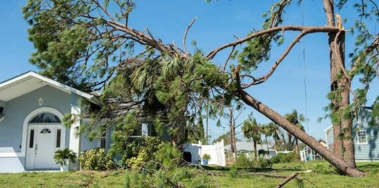 Storm-Ready Living: How to Prepare Your Home for Heavy Rain