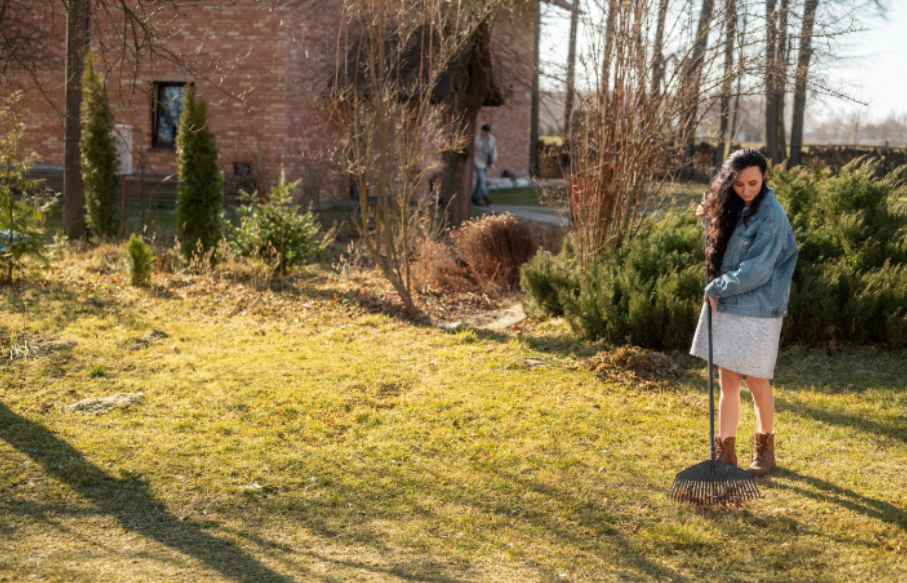 Lawn Care Maintenance Myths That Are Wrecking Your Grass