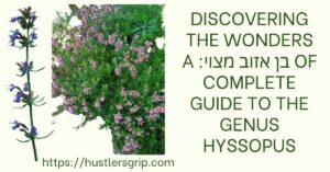 Erosme – Unlock the Ultimate Experience of Online Connections