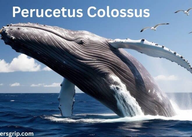 Perucetus Colossus: The Colossal Ancient Whale That May Be the Heaviest Animal Ever