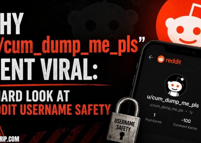 Why “u/cum_dump_me_pls” Went Viral: A Hard Look at Reddit Username Safety