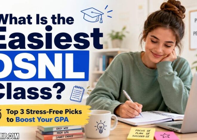 What Is the Easiest DSNL Class? Top 3 Stress-Free Picks to Boost Your GPA