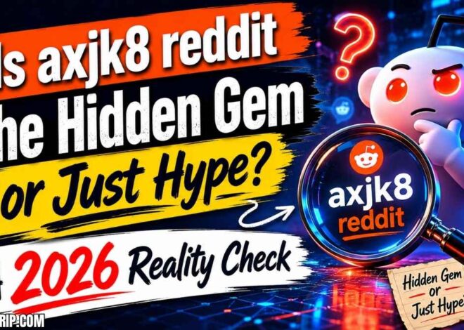 Is axjk8 reddit the Hidden Gem or Just Hype? A 2026 Reality Check