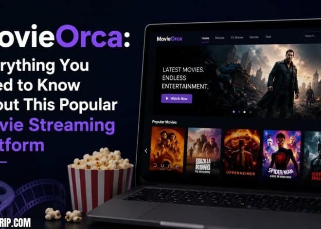 MovieOrca: Everything You Need to Know About This Popular Movie Streaming Platform