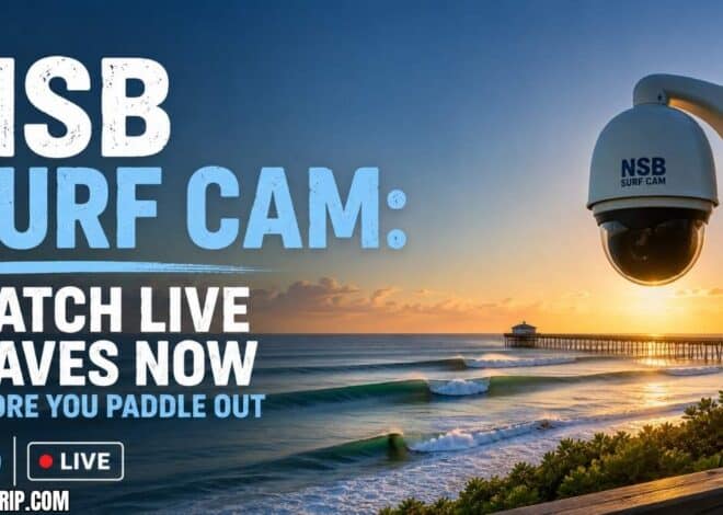 NSB Surf Cam: Watch Live Waves Now Before You Paddle Out
