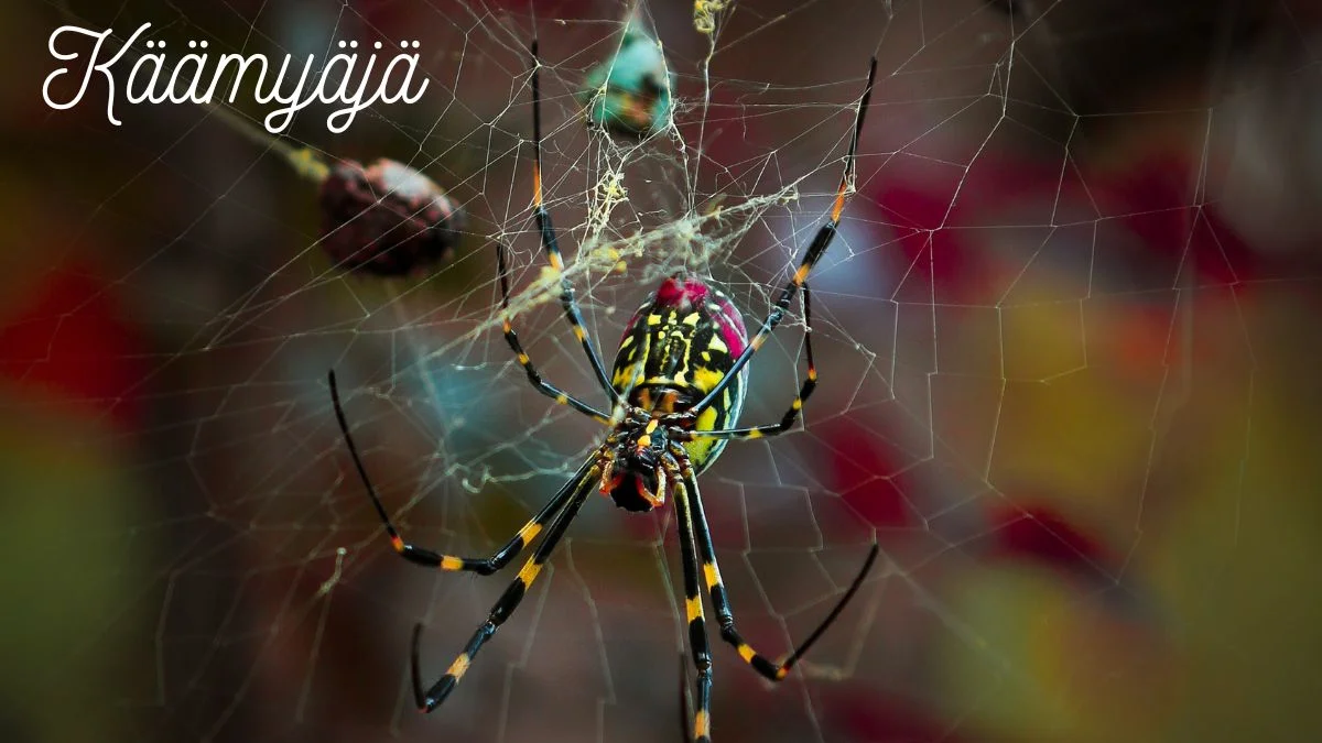 Käämyäjä Unveiling the Splendors : A Journey through Cultural Heritage and Artistic Evolution”